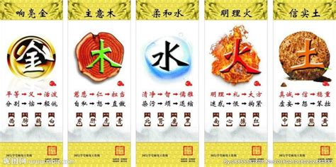 屬豬五行顏色|12生肖怎樣用顏色為自己開運